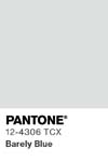 7100 pantone color chip 12 4306 tcx