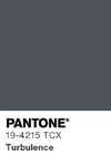 7105 pantone color chip 19 4215 tcx