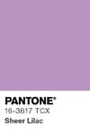 7107 pantone color chip 16 3617 tcx