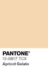 304 pantone color chip 12 0817 tcx