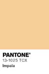 305 pantone color chip 13 1025 tcx