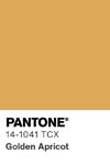 307 pantone color chip 14 1041 tcx