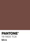 309 pantone color chip 19 1430 tcx