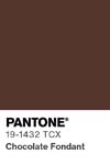 310 pantone color chip 19 1432 tcx