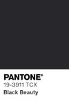 311 pantone color chip 19 3911 tcx