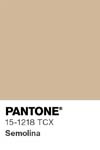 313 pantone color chip 15 1218 tcx