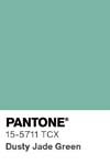 316 pantone color chip 15 5711 tcx