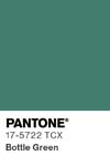 318 pantone color chip 17 5722 tcx