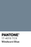 324 pantone color chip 17 4018 tcx
