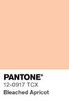 328 pantone color chip 12 0917 tcx