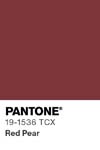 337 pantone color chip 19 1536 tcx
