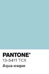 343 pantone color chip 13 5411 tcx