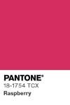348 pantone color chip 18 1754 tcx