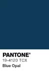 355 pantone color chip 19 4120 tcx
