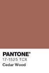 356 pantone color chip 17 1525 tcx