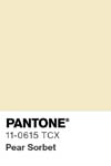 358 pantone color chip 11 0615 tcx
