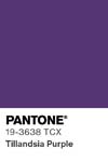 362 pantone color chip 19 3638 tcx