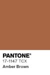 371 pantone color chip 17 1147 tcx