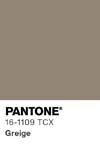 372 pantone color chip 16 1109 tcx