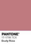 377 pantone color chip 17 1718 tcx