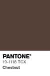 379 pantone color chip 19 1118 tcx