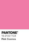 384 pantone color chip 16 2122 tcx