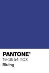 388 pantone color chip 19 3954 tcx