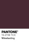 393 pantone color chip 19 2118 tcx