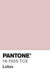 394 pantone color chip 14 1905 tcx
