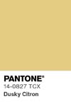 395 pantone color chip 14 0827 tcx