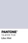 396 pantone color chip 13 4105 tcx