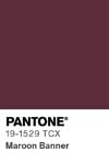 400 pantone color chip 19 1529 tcx