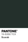 411 pantone color chip 19 5350 tcx